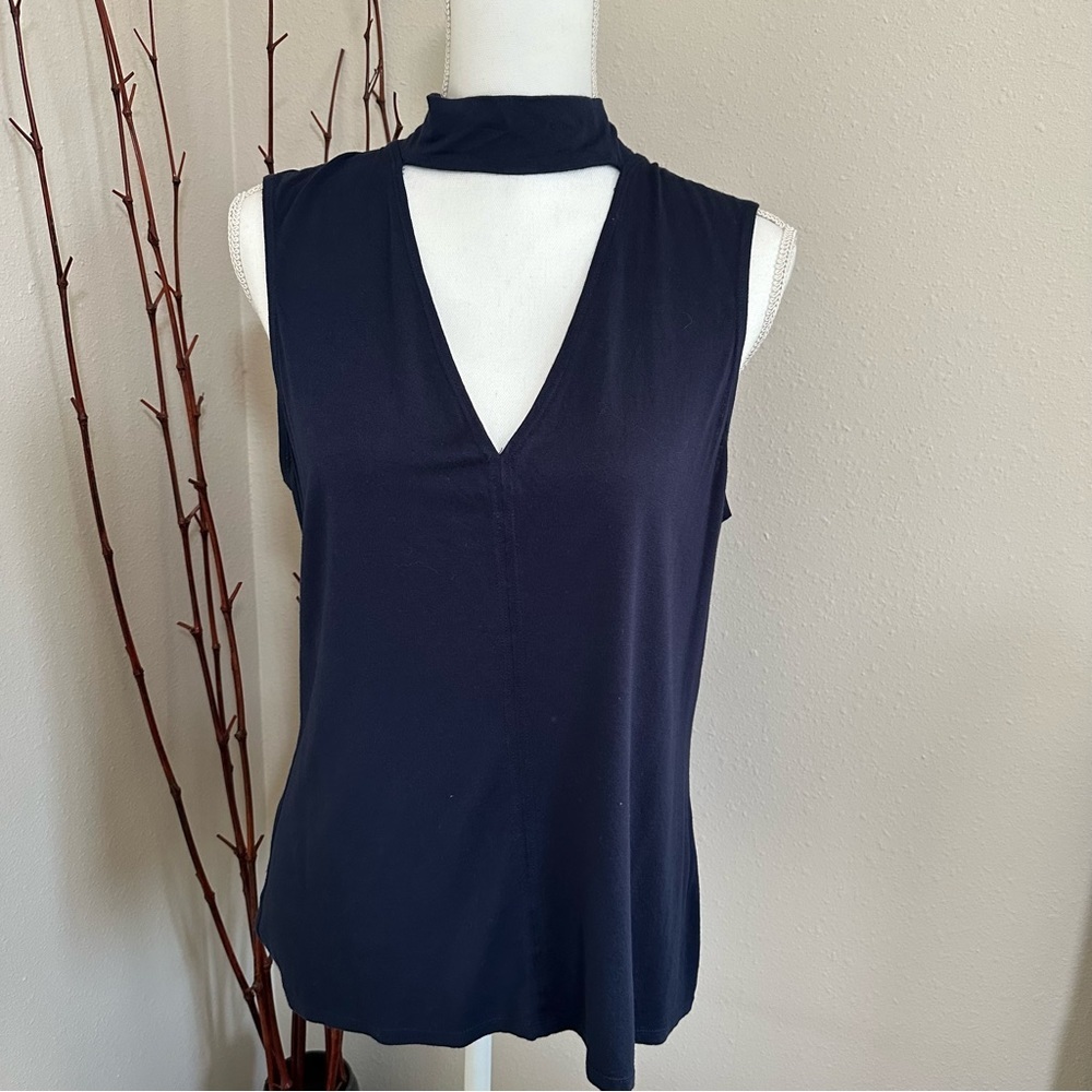 Max Studio neck top